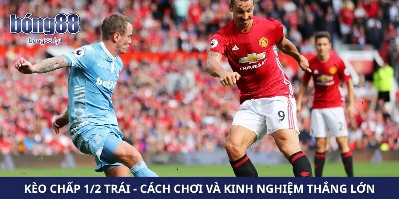 Kèo Chấp 1/2 Trái - Cách Chơi Và Kinh Nghiệm Thắng Lớn