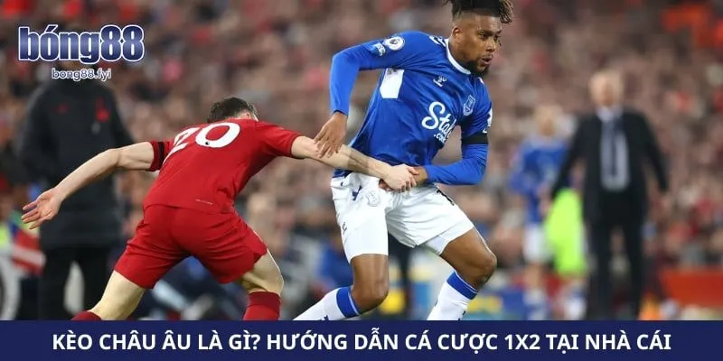Kèo Châu Âu Là Gì? Hướng Dẫn Cá Cược 1x2 Tại Nhà Cái