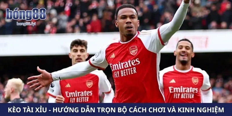 Kèo Tài Xỉu - Hướng Dẫn Trọn Bộ Cách Chơi Và Kinh Nghiệm